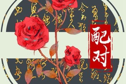 姓名五行与合婚
