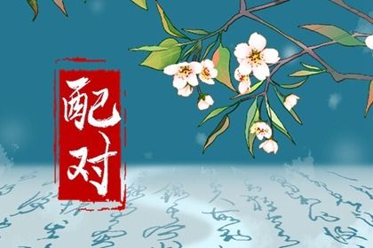 纳音配对：比和、相生与平衡